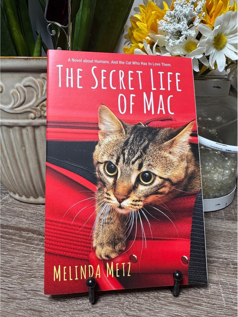 The Secret Life of Mac by Melinda Metz